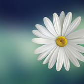 shyamm