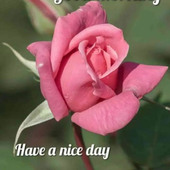 BINNI