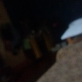 Concho