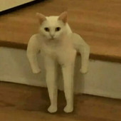 Systemxxxx69