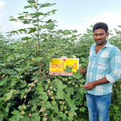 Guvvala Venkatesh