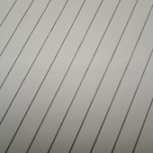 The shine