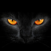 @sexhard