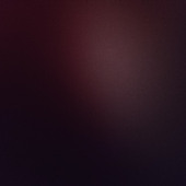 Dinu001