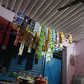 Rajnish