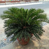 Nareshkumar