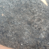 Joshuaalex fernandis