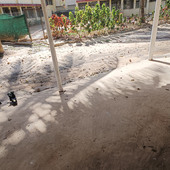 Amanyadav