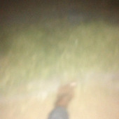 Mical