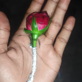 Agastya