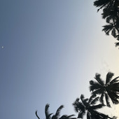 Fsree