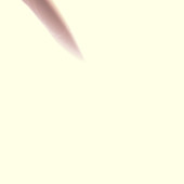 Xxx1234