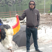 Siru