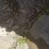 MUTUU
