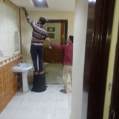 Widooo