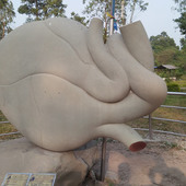 Nimesh