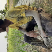 Krishna Gupta