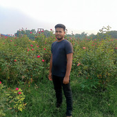 hassan02