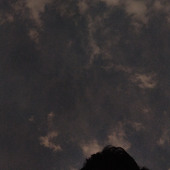 Manik singh
