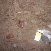 Md Ratul12