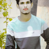 Royal mohan