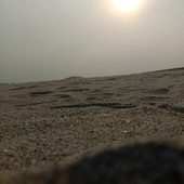 vcxz009