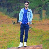 Javid mir