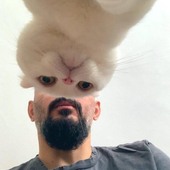 dadarya