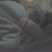 Bigdaddycockxxx69