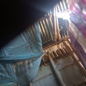 Manabh