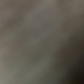 Ggs