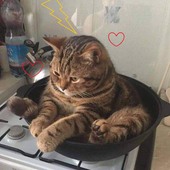 hossein1228