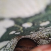Pornostar