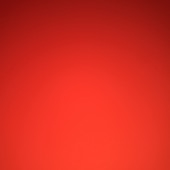 VbnkkDick
