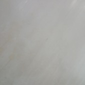 Rpp