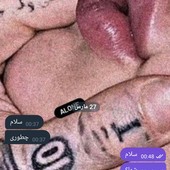 Reza_tnt