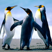 mathan