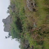 Khalidi