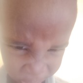 Cawil Maxamuud