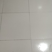 surazbdcd