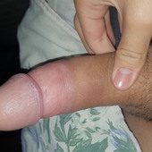 Dav8273