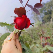 Alisha01