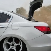 Fox yes