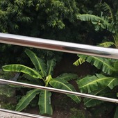Bhaijaan