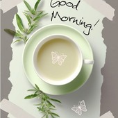 Abhijotsinghbrar09