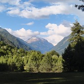 Kala kuka