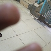 Thgfgn