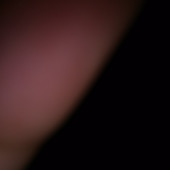Bosku