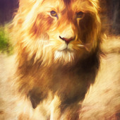 Kingl76