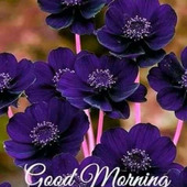 sarath